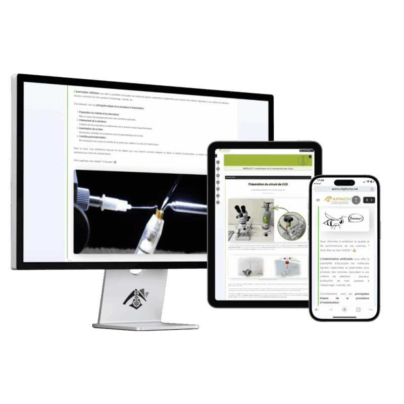 Corso online – Inseminazione strumentale delle regine (in spagnolo)