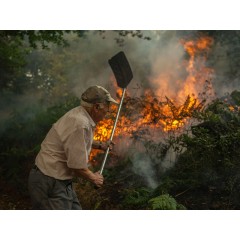 Abafador de Fogo com Cabo Telescópico para Apicultores