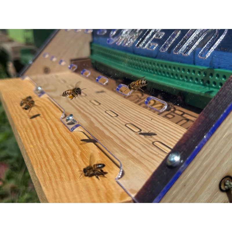 Entrance Barrier against Asian hornets (Vespa velutina & orientalis) Fight against the wasp