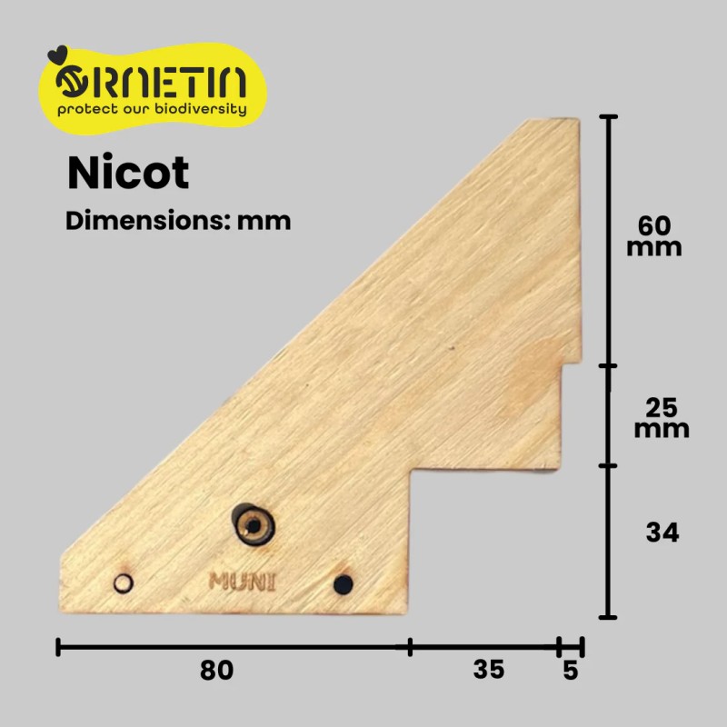 Entrance Barrier against Asian hornets (Vespa velutina & orientalis) Fight against the wasp