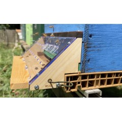 Entrance Barrier against Asian hornets (Vespa velutina & orientalis) Fight against the wasp