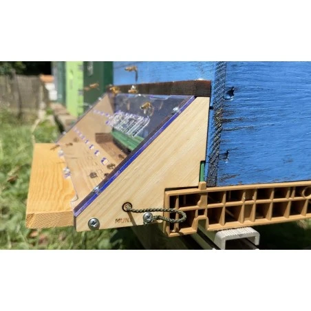 Barreira de piquera contra Vespa velutina & orientalis