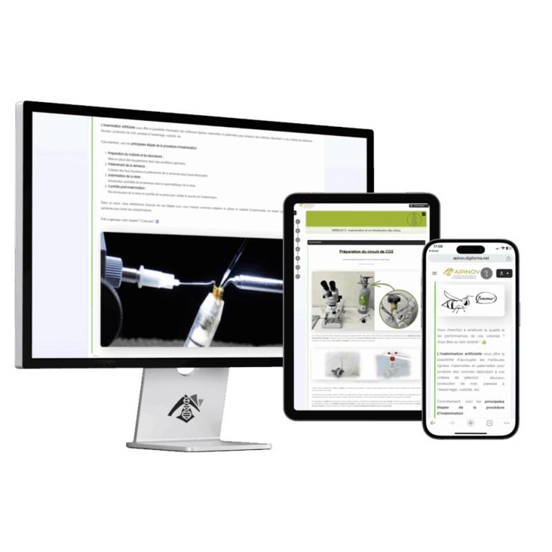 Curso online de inseminación instrumental de reinas (en español) Cursos de apicultura online