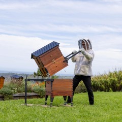 Flow Super Lifter® Hive Lifting System Transport of beehives and drums