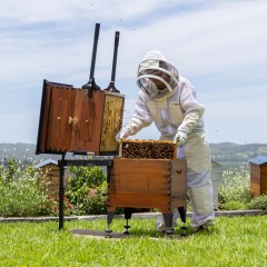 Flow Super Lifter® Hive Lifting System Transport of beehives and drums