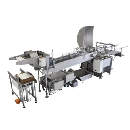 Automatische Honig-Extraktionslinie WET S800