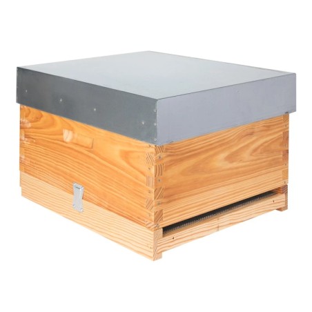 Langstroth Hive Without Super (Brood Box Only) with Hygienic Screen Bottom Langstroth Beehives