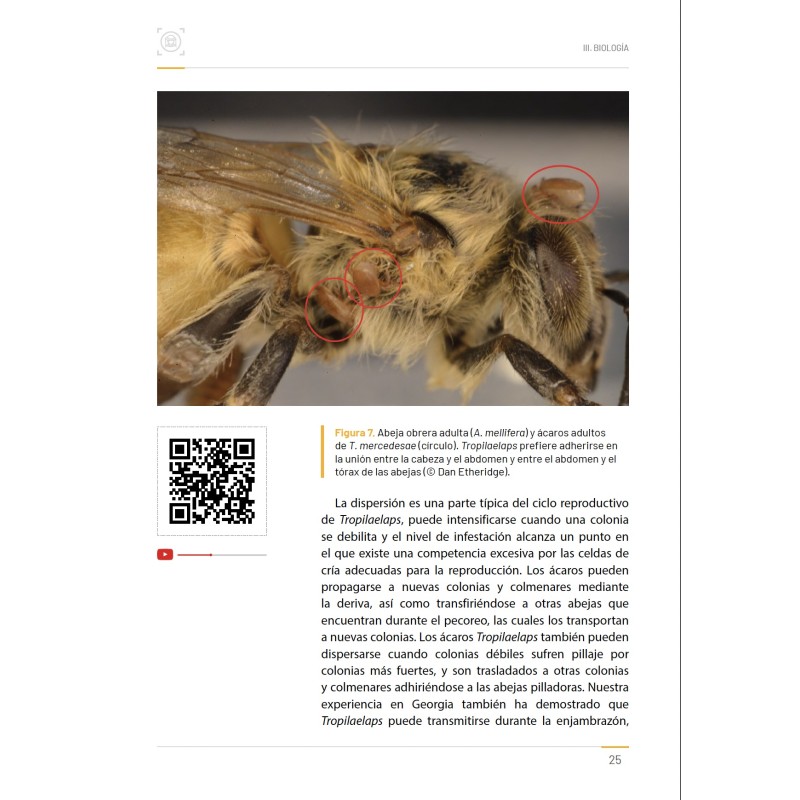 Libro Tropilaelaps - Detección, Prevención y Control Libros de apicultura