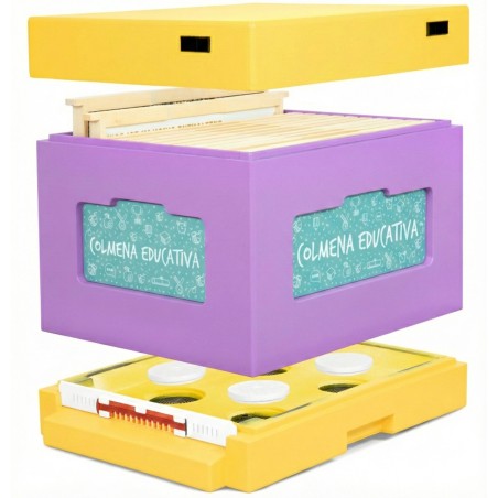 Educational Dadant Beehive with Didactic Teaching Boards Educational