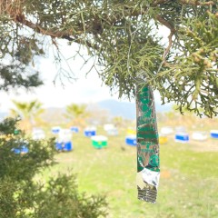 Gel Cattura Sciami Allure Stick ANEL - Scatola 20 pz