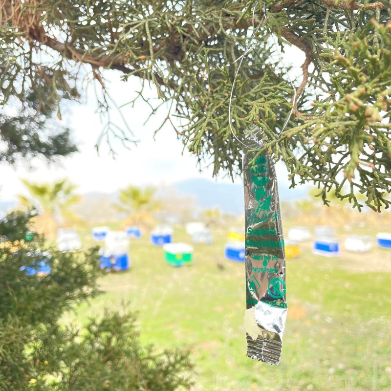 Schwarmköder Gel Allure Stick ANEL - Box 20 Stk.