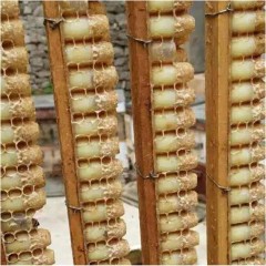 Barra doble traslarve para jalea (66 cúpulas) Utensilios para cría de reinas