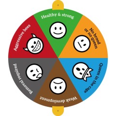Drehbarer Statusanzeiger für Bienenvölker