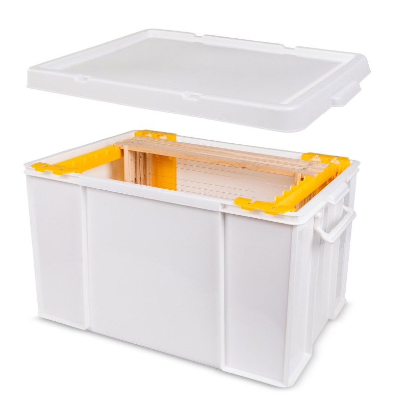 Adjustable Frame Transport Box Transport of beehives and drums