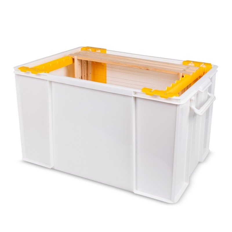 Rähmchen-Transportbox mit verstellbaren Führungsschienen