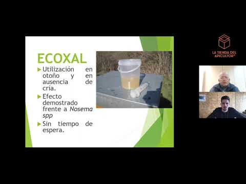 Charla técnica sobre Ecoxal - Tratamiento contra varroa