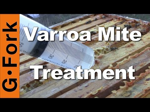 Varroa Mite Oxalic Acid Treatment - Beekeeping 101 - GardenFork