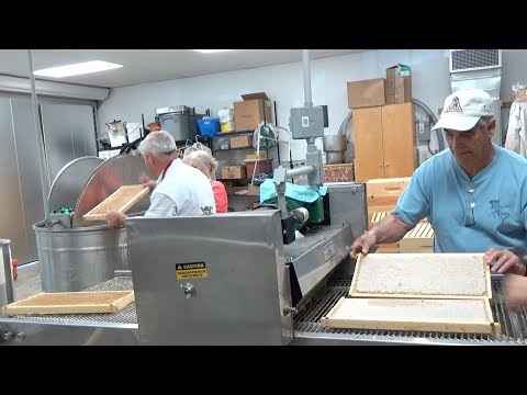 Processing over 200 gallons of honey in our honey house