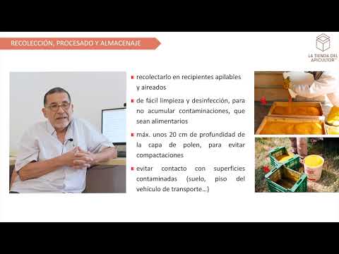 Demostración de una clase del curso de Bees.Academy - Curso Miel, Polen, Jalea, Cera y Propóleos