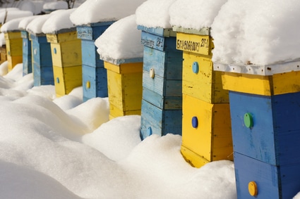 Colorful homes in winter