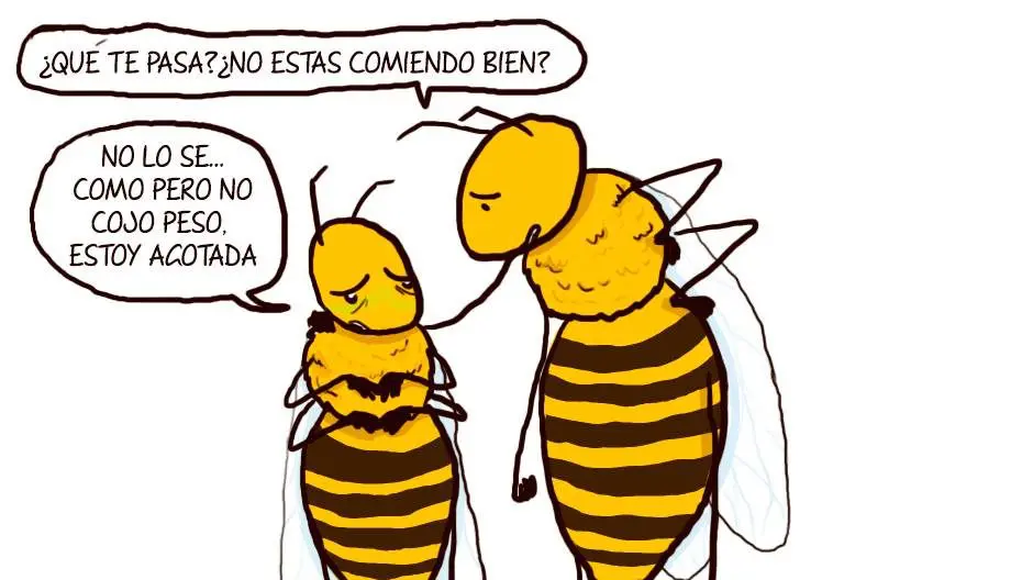 Nosemosis: qué es, cómo detectarla y cómo actuar