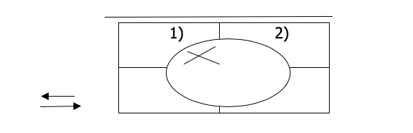 Diagnóstico de Varroa: Detección y toma de decisiones - SANIDAD