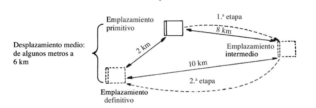 Cómo deben trasladarse las abejas - Apicultura