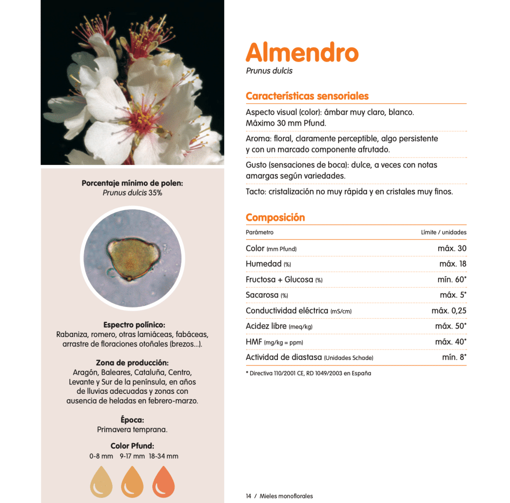 Miel de Almendro: Gusto, aroma, color y todas sus características. - MIELES