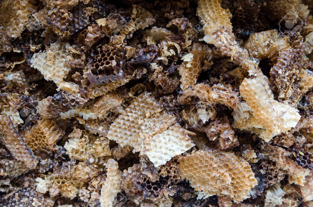 Cerón Blog de Apicultura La Tienda del Apicultor