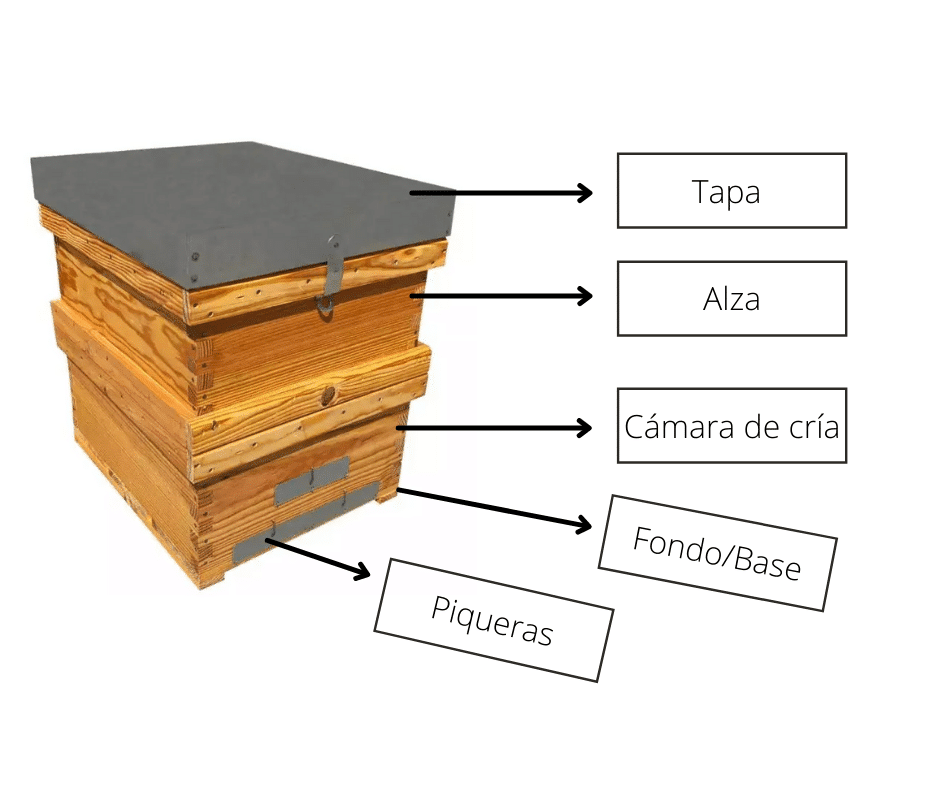 Materiales de Apicultura Básicos: ¿Qué se necesita para ir a las colmenas? - Apicultura