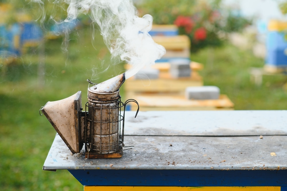 primavera Sitio de Previs violín El Ahumador para abejas: Como encenderlo y utilizarlo