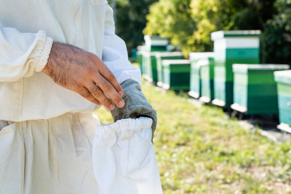 Traje de apicultura de algodón con velo redondo, fácil de usar