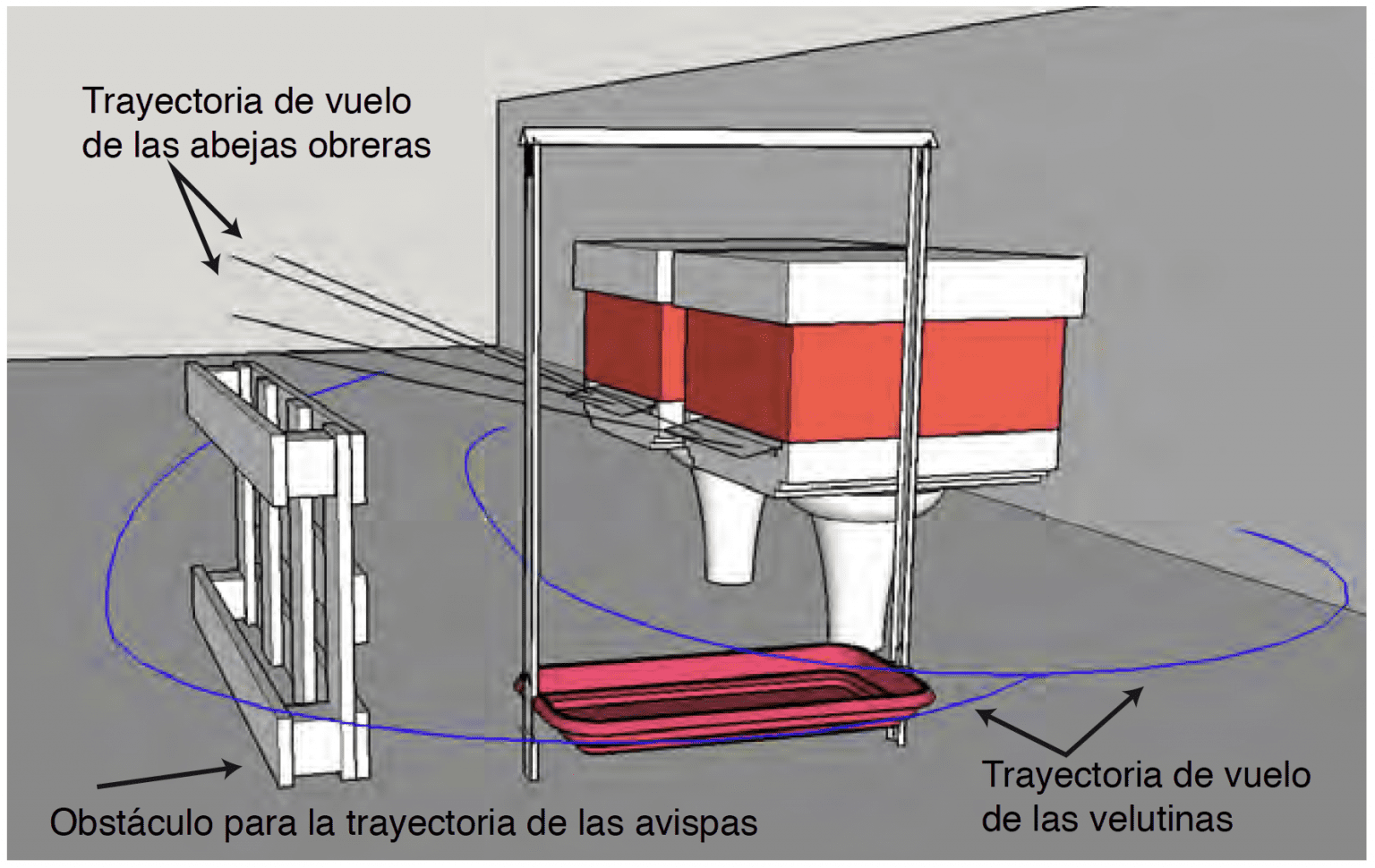 arpa-el-ctrica-trampa-contra-la-velutina-avisp-n-asi-tico