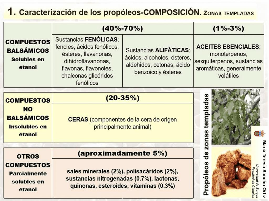 El propóleo: recolección y preparación de tintura de propóleo casera - Apicultura