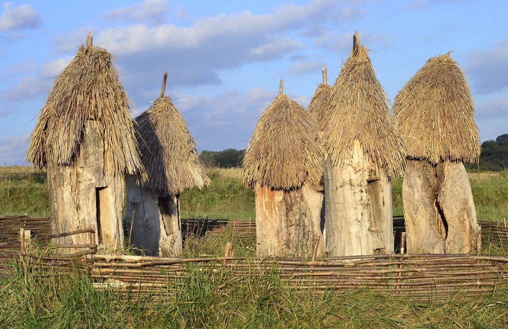Modelos de colmena: Historia, medidas y diferencias técnicas que todo apicultor debe conocer - INICIACIÓN APICULTURA