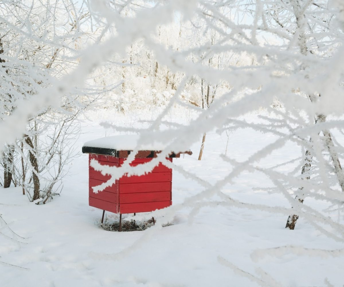 Red beehive in a winter.