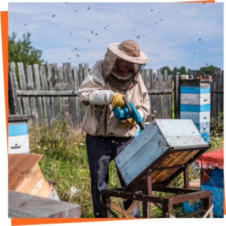 Souffleurs & Outils d'Éloignement des Abeilles pour Hausses