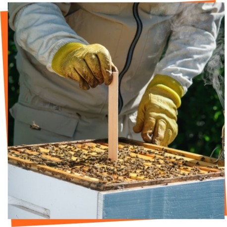 Varroa treatments