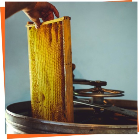 Extractores de miel manuales | La Tienda del Apicultor