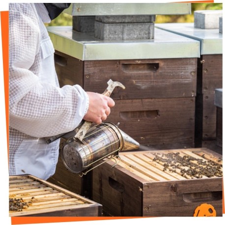 Trajes apicultor ventilados