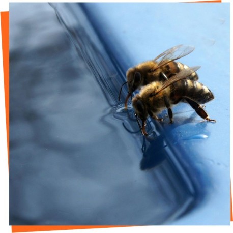 Bee Waterers: constant-level and 30 L tank