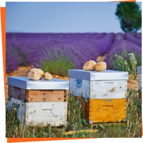 Langstroth Beehives - Whole range - BeeHives