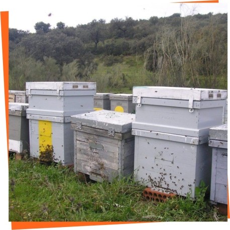 Layens Beehives - The classic spanish beehive