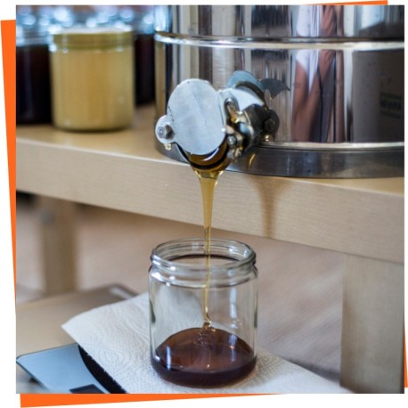 ≫ Storage Honey Tanks - Plastic and stainless steel ripeners for honey