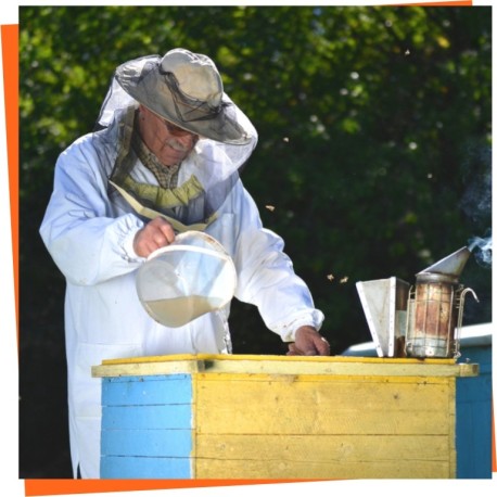 Bee Feed - Feed the bees in Spring, Summer, Autumn and Winter