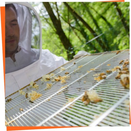 Excluders and screens - Beekeeping supplies