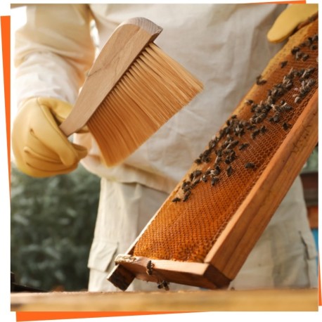 Brosse à abeilles