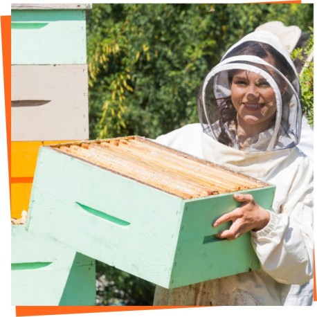 ≫ Beehives - All types and sizes - Beehives at the Best prices