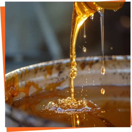 Honey pumps - Best machinery for honey processing