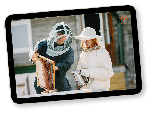 Cursos de apicultura 100% online